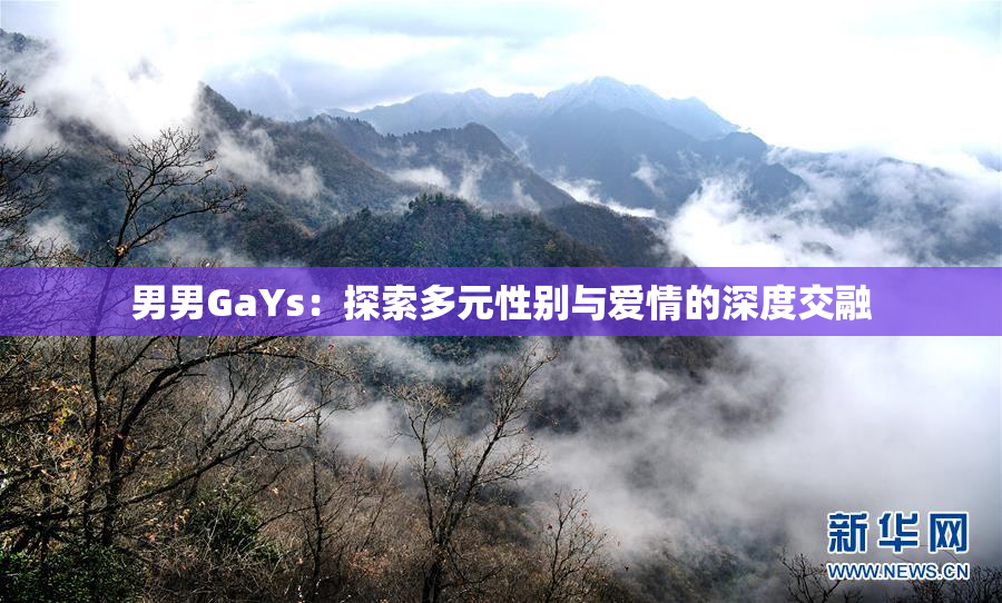 男男GaYs：探索多元性别与爱情的深度交融