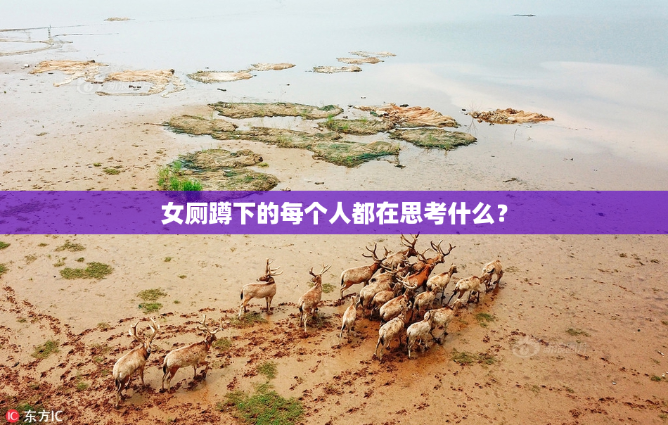 女厕蹲下的每个人都在思考什么？