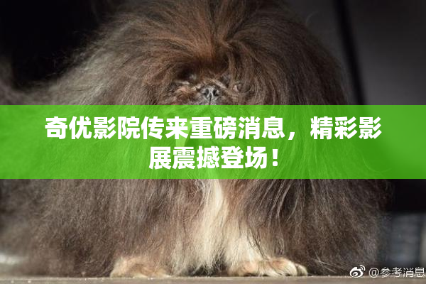 奇优影院传来重磅消息，精彩影展震撼登场！