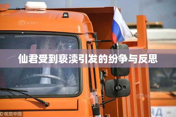 仙君受到亵渎引发的纷争与反思