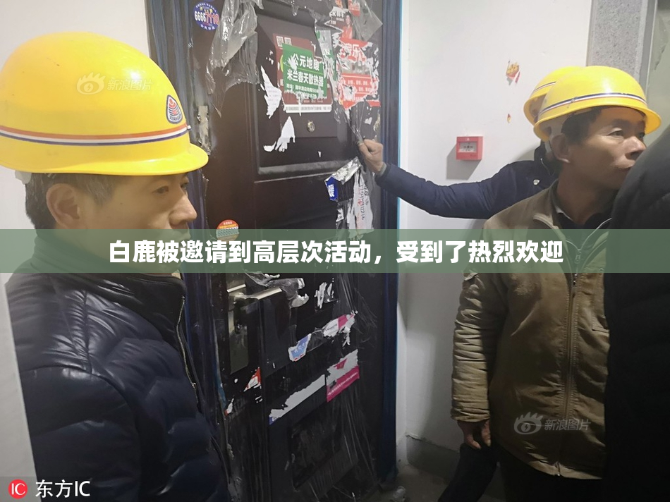 白鹿被邀请到高层次活动，受到了热烈欢迎