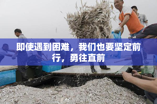 即使遇到困难，我们也要坚定前行，勇往直前