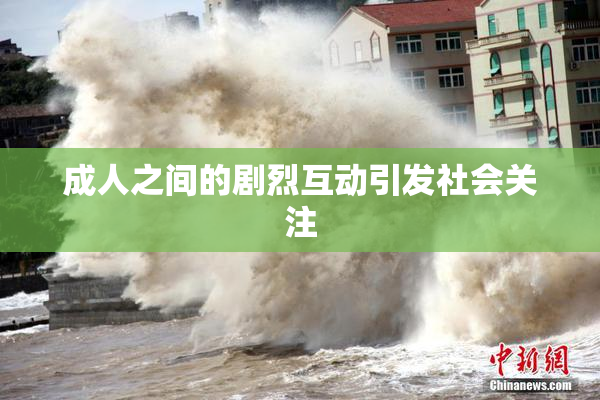 成人之间的剧烈互动引发社会关注