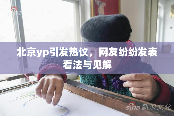 北京yp引发热议，网友纷纷发表看法与见解