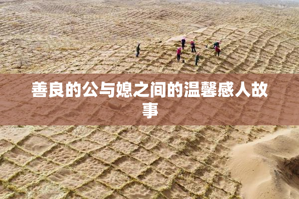 善良的公与媳之间的温馨感人故事