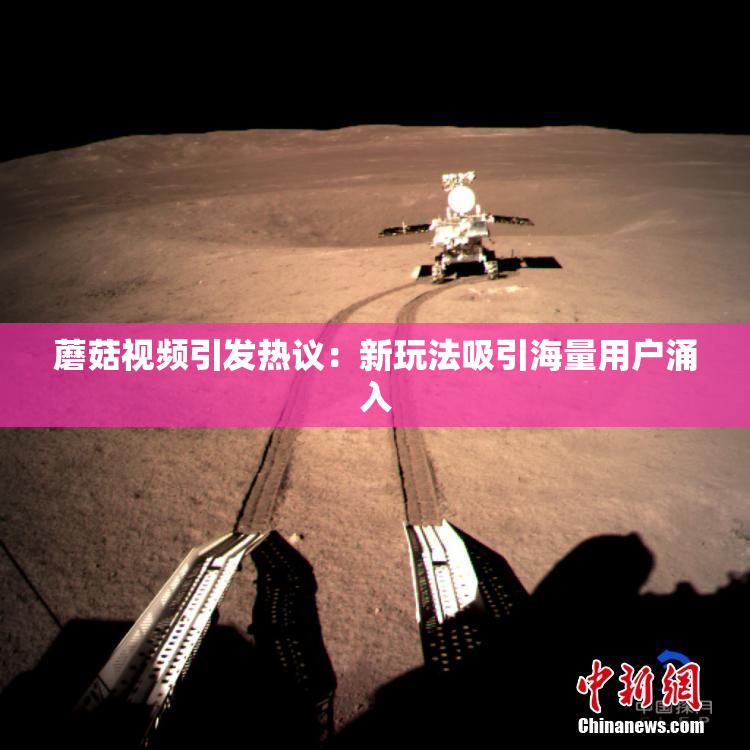 蘑菇视频引发热议：新玩法吸引海量用户涌入