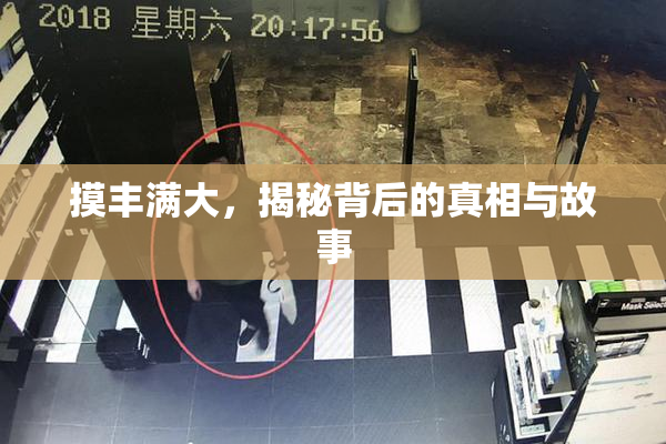 摸丰满大，揭秘背后的真相与故事