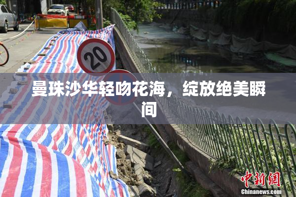 曼珠沙华轻吻花海，绽放绝美瞬间