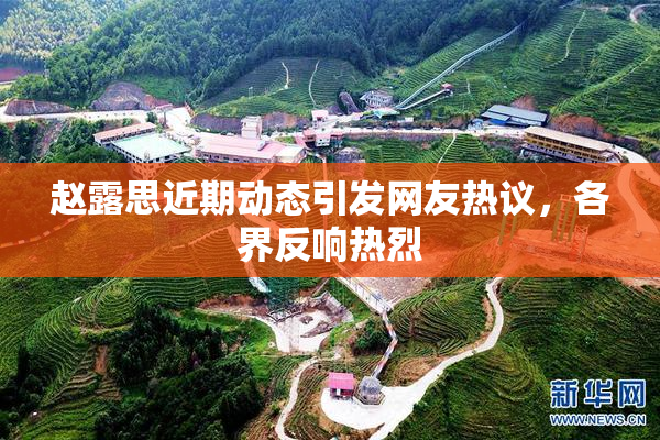 赵露思近期动态引发网友热议，各界反响热烈