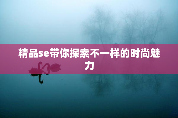 精品se带你探索不一样的时尚魅力