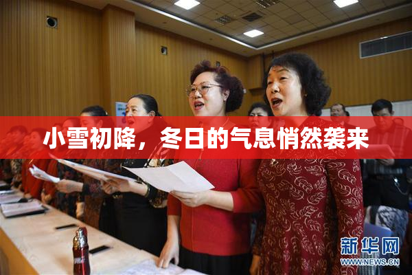 小雪初降，冬日的气息悄然袭来