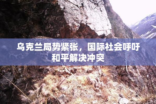 乌克兰局势紧张，国际社会呼吁和平解决冲突