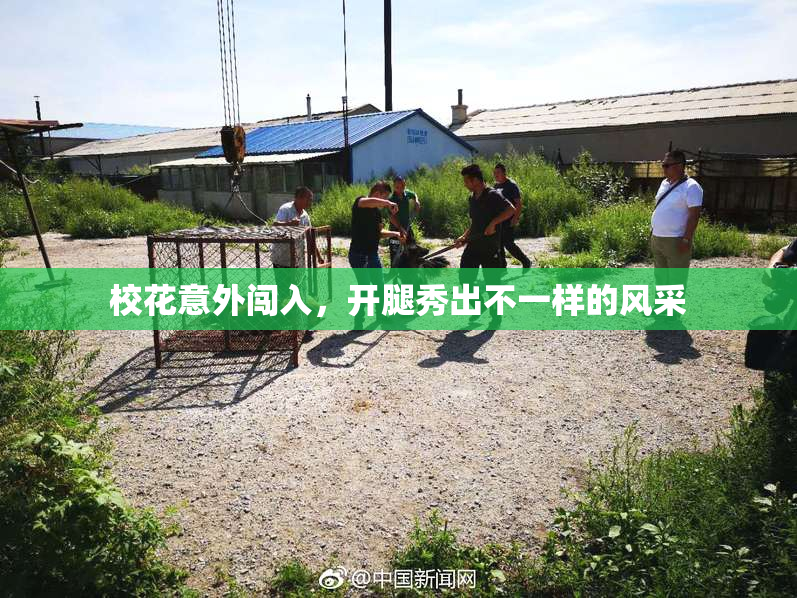 校花意外闯入，开腿秀出不一样的风采