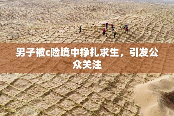 男子被c险境中挣扎求生，引发公众关注