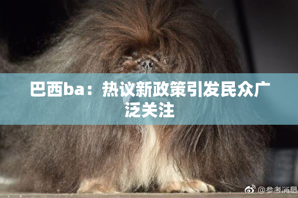 巴西ba：热议新政策引发民众广泛关注