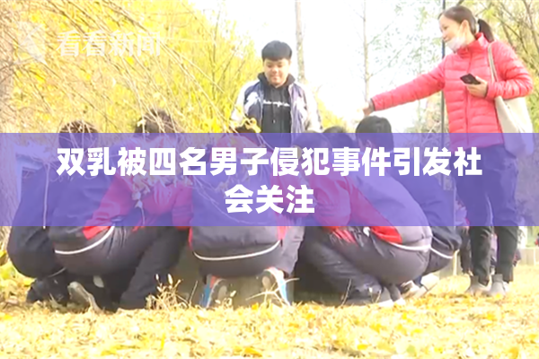 双乳被四名男子侵犯事件引发社会关注