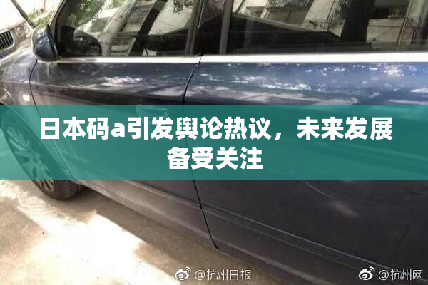 日本码a引发舆论热议，未来发展备受关注