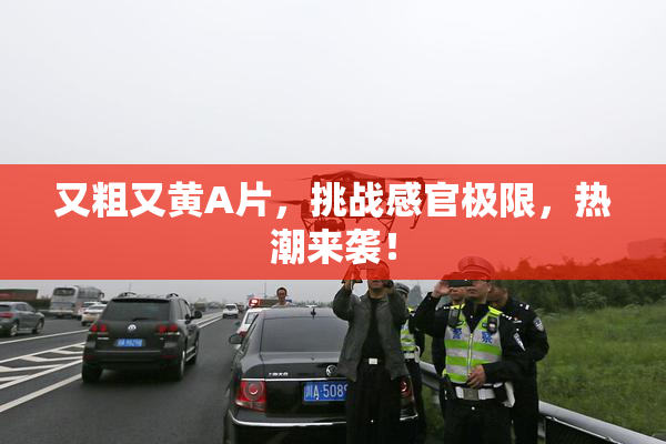 又粗又黄A片，挑战感官极限，热潮来袭！