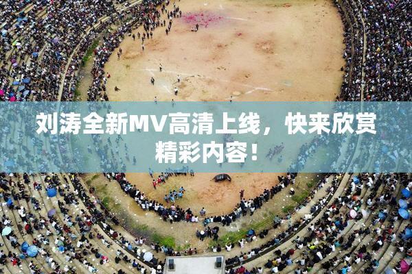 刘涛全新MV高清上线，快来欣赏精彩内容！