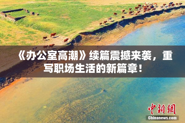 《办公室高潮》续篇震撼来袭，重写职场生活的新篇章！