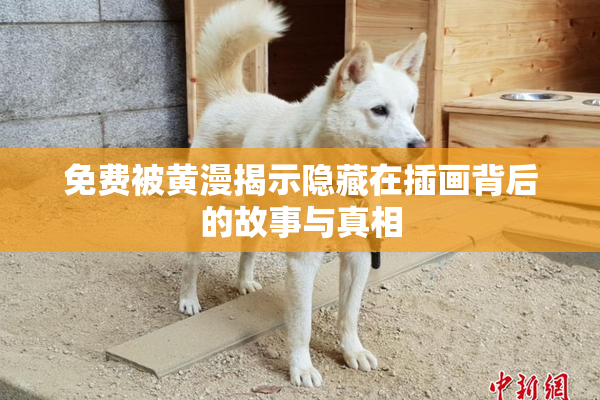 免费被黄漫揭示隐藏在插画背后的故事与真相