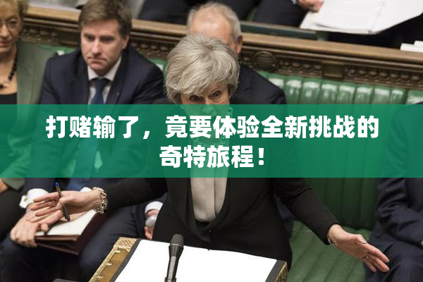 打赌输了，竟要体验全新挑战的奇特旅程！