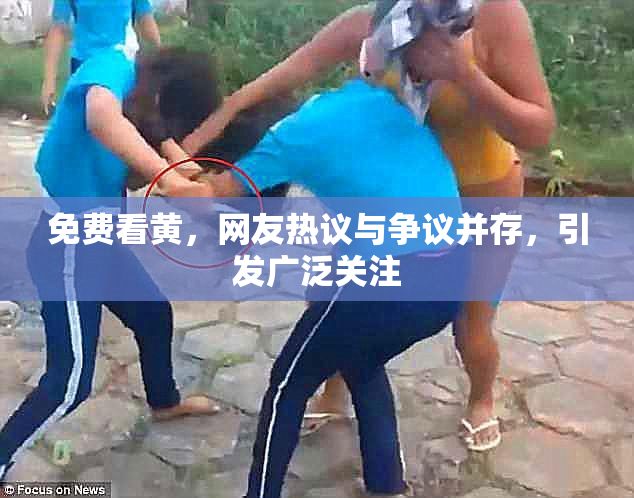 免费看黄，网友热议与争议并存，引发广泛关注