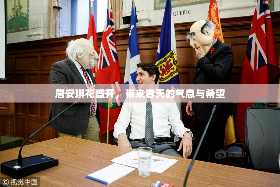 唐安琪花盛开，带来春天的气息与希望