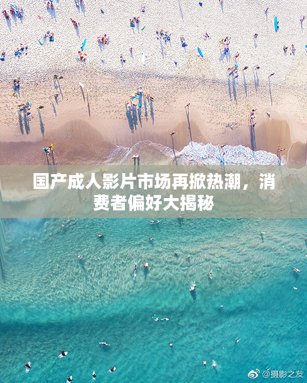 国产成人影片市场再掀热潮，消费者偏好大揭秘