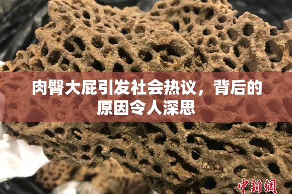 肉臀大屁引发社会热议，背后的原因令人深思