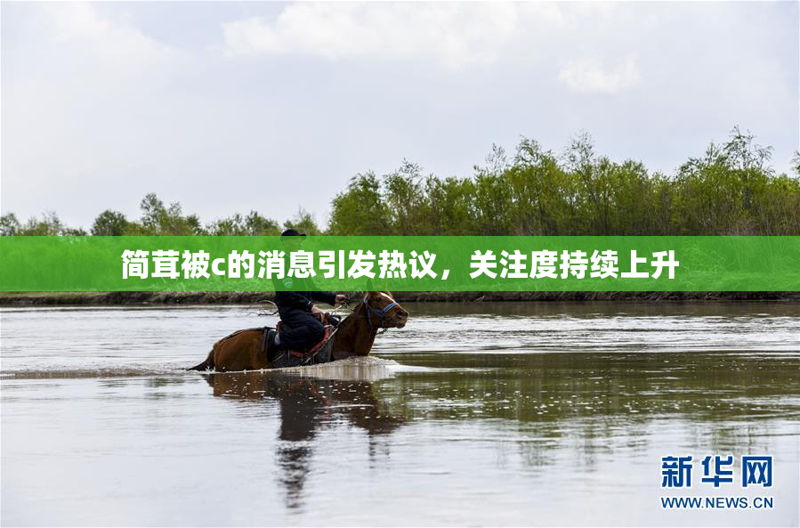 简茸被c的消息引发热议，关注度持续上升