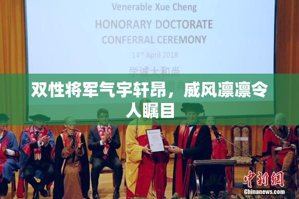 双性将军气宇轩昂，威风凛凛令人瞩目