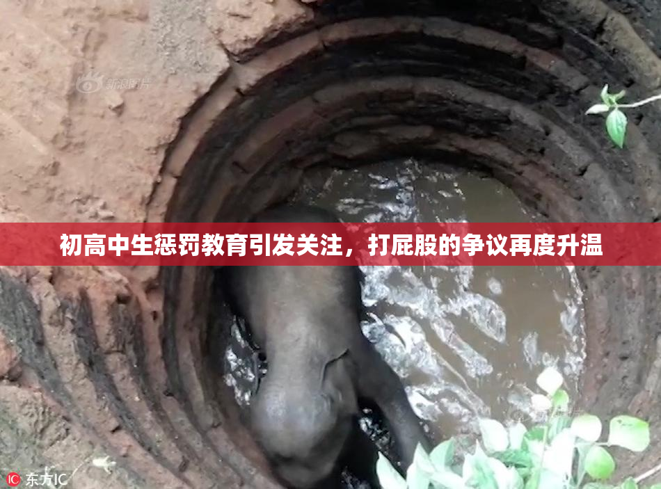 初高中生惩罚教育引发关注，打屁股的争议再度升温