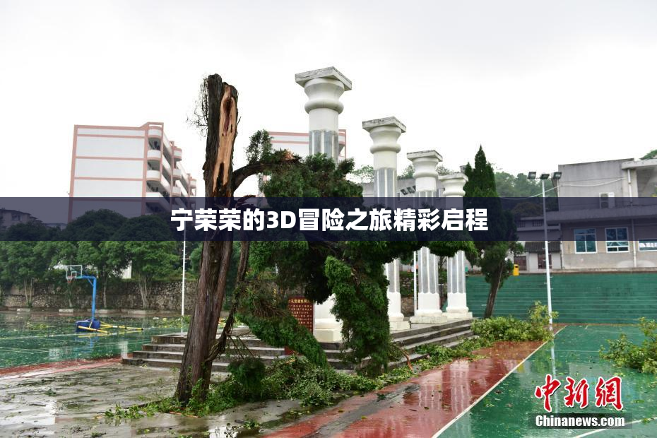 宁荣荣的3D冒险之旅精彩启程
