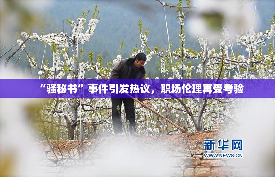 “骚秘书”事件引发热议，职场伦理再受考验