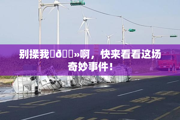 别揉我‌🐻啊，快来看看这场奇妙事件！