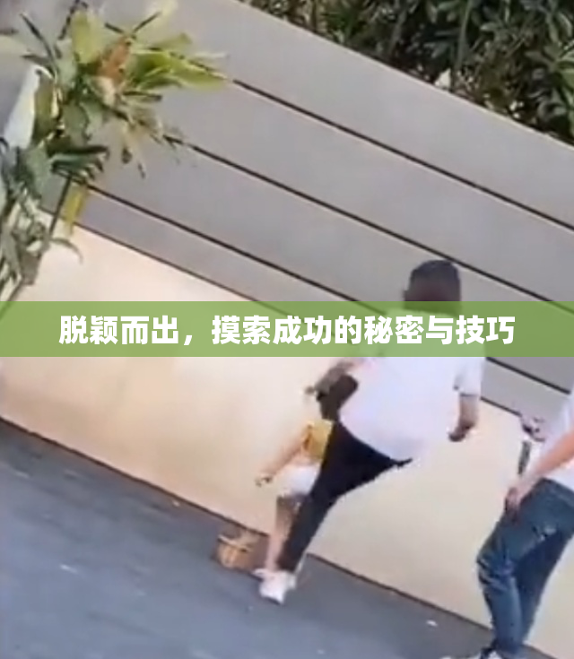 脱颖而出，摸索成功的秘密与技巧