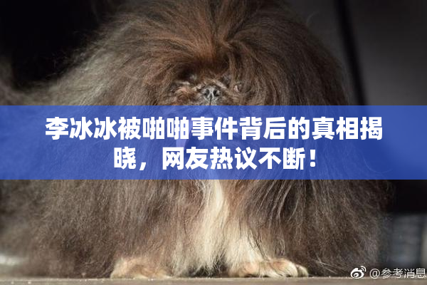李冰冰被啪啪事件背后的真相揭晓，网友热议不断！