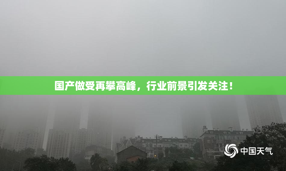 国产做受再攀高峰，行业前景引发关注！