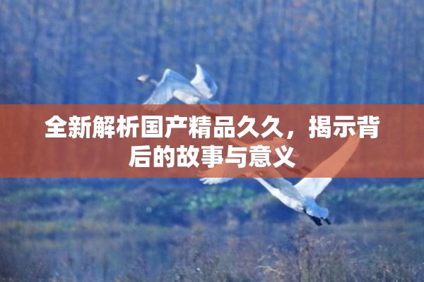 全新解析国产精品久久，揭示背后的故事与意义