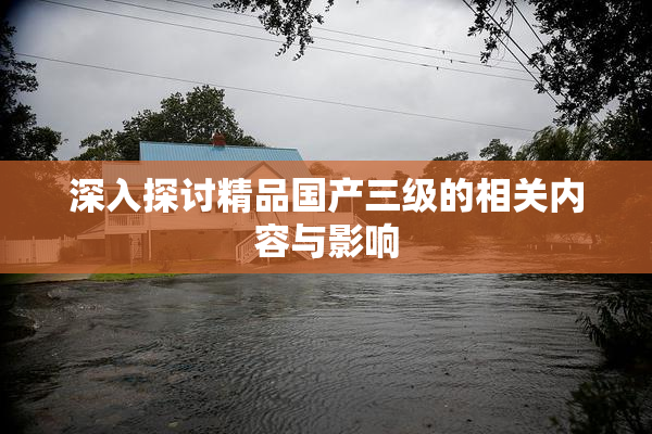 深入探讨精品国产三级的相关内容与影响