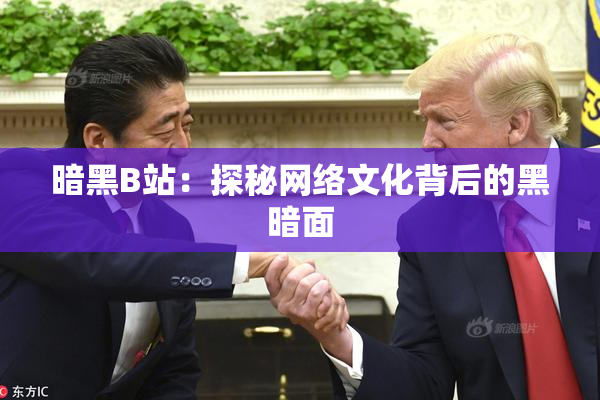 暗黑B站：探秘网络文化背后的黑暗面