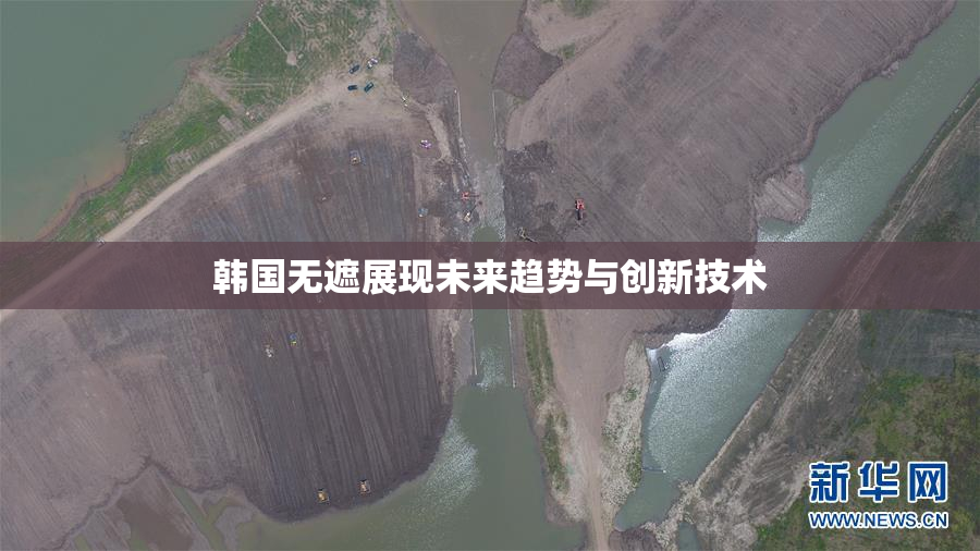 韩国无遮展现未来趋势与创新技术