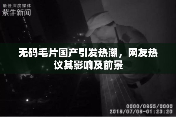无码毛片国产引发热潮，网友热议其影响及前景