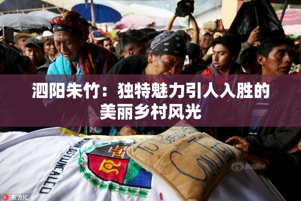 泗阳朱竹：独特魅力引人入胜的美丽乡村风光