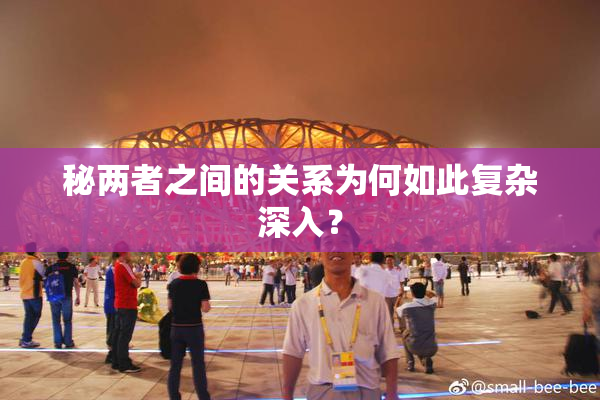 秘两者之间的关系为何如此复杂深入？