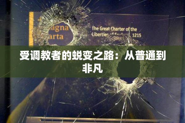 受调教者的蜕变之路：从普通到非凡
