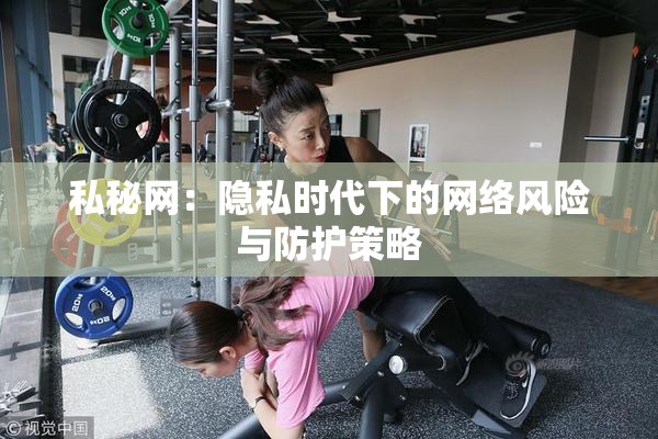 私秘网：隐私时代下的网络风险与防护策略