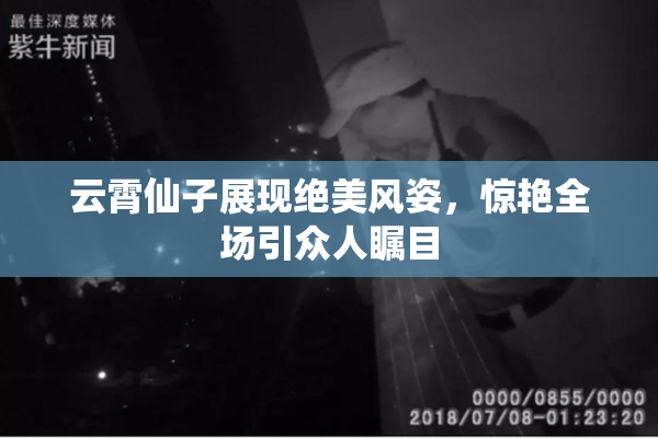 云霄仙子展现绝美风姿，惊艳全场引众人瞩目