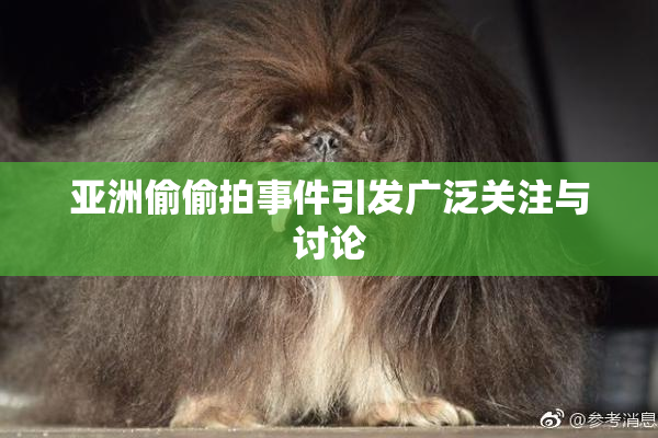 亚洲偷偷拍事件引发广泛关注与讨论
